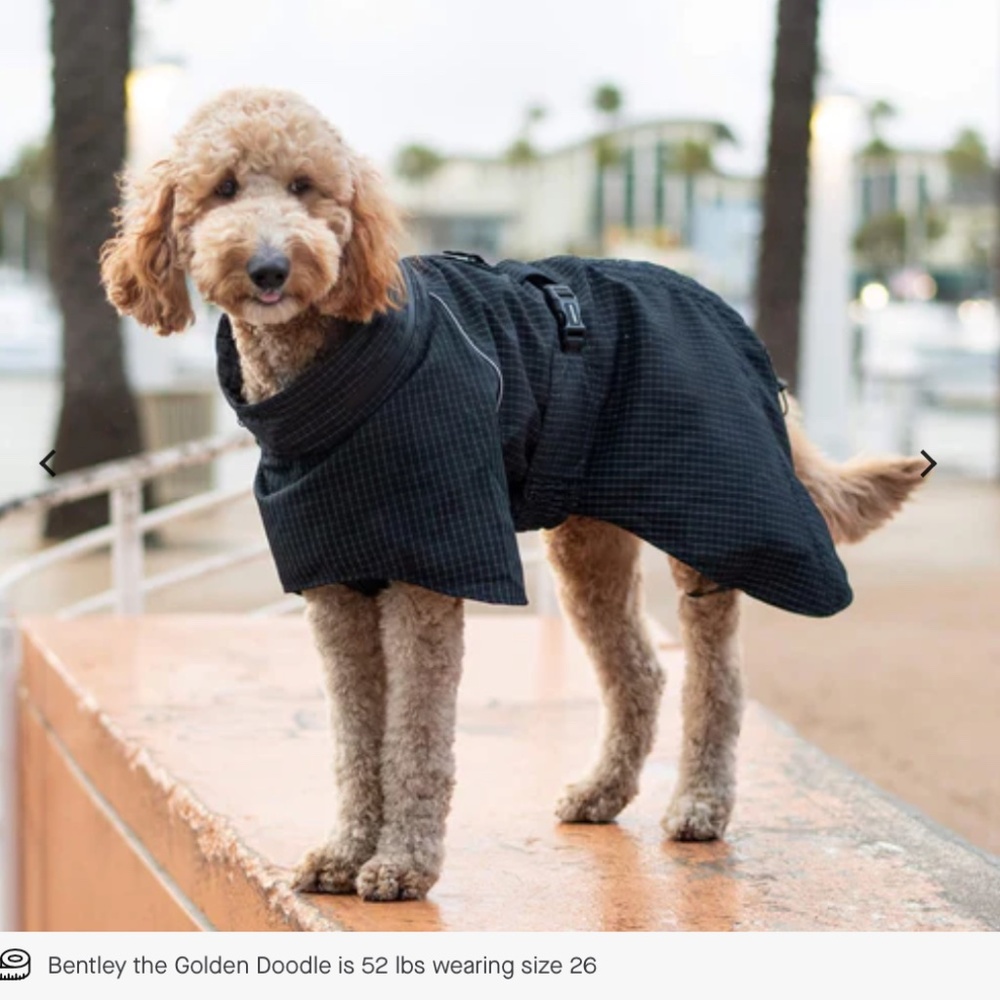 Canada Pooch Black Full Coverage Dog Raincoat Reflective Black - NWT size 30